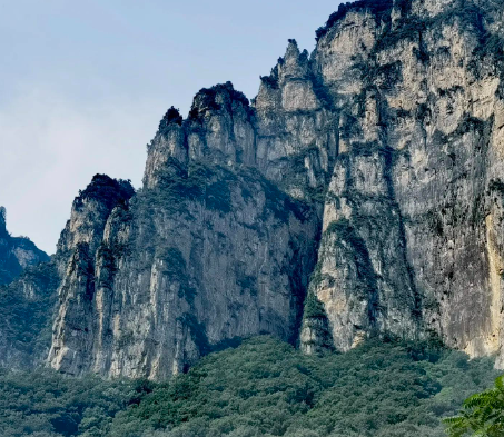 深圳市龙华区“黄丝带帮教”基地揭牌成立